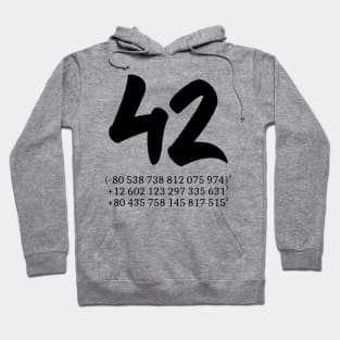 42 in cubes Hoodie